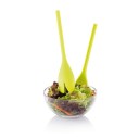 XD Design Salotų Serviravimo Rinkinys 'Tulip', žalias